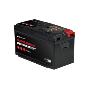 TEMPRA Lithium-Batterie LiFePO4